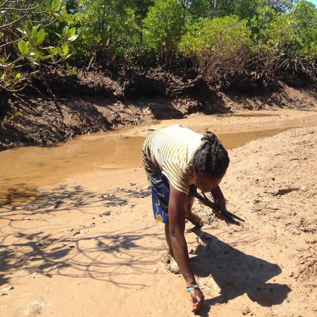 Ecologi madagascar planting 2