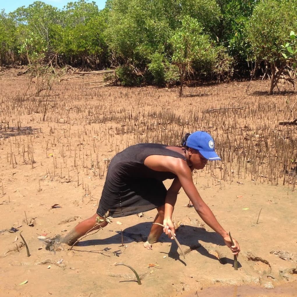 Ecologi madagascar planting 3