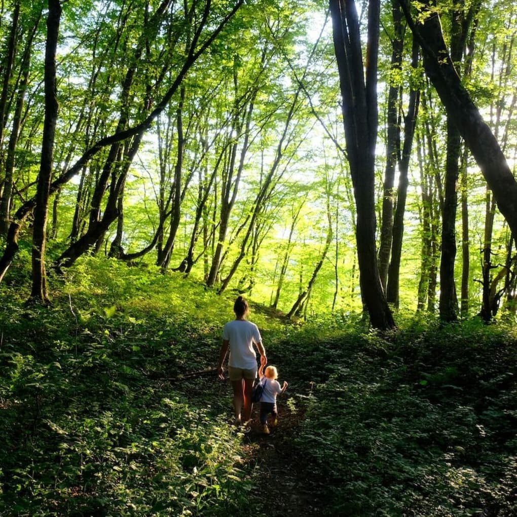 Woman and child walking in the forest