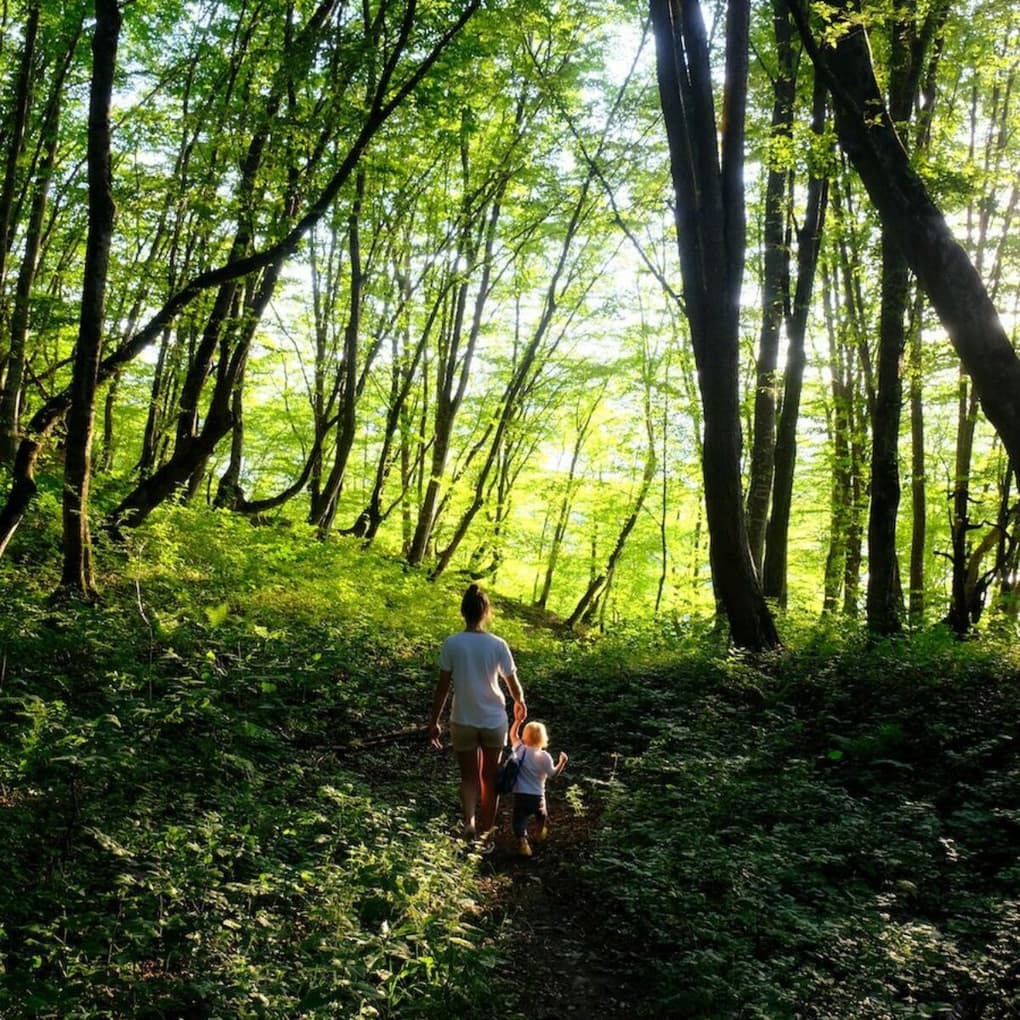 Woman and child walking in the forest